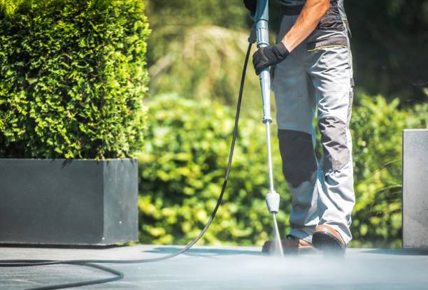 Best Animal Enclosure Cleaning  in Panora, IA